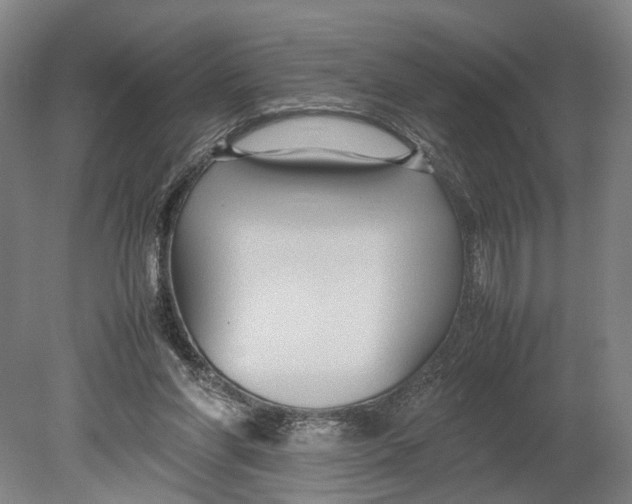X0000080750206200701051219
