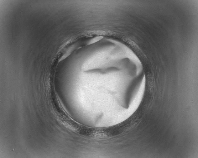 X0000080750207200701051219