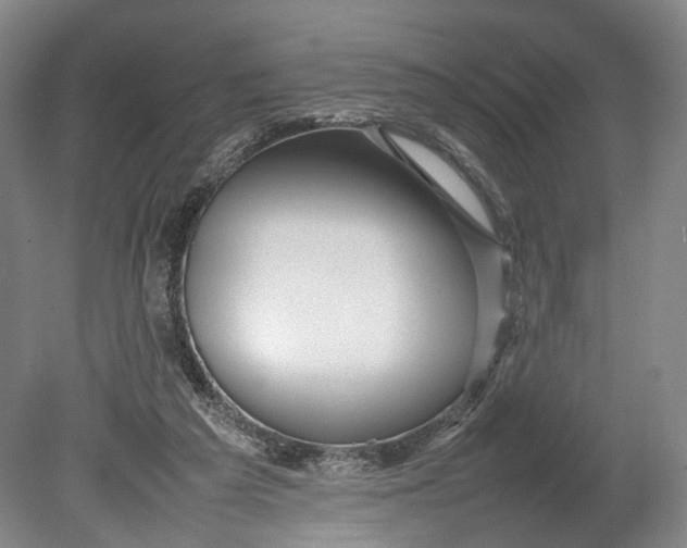 X0000080750209200701051219