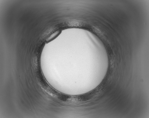 X0000080750211200701051219