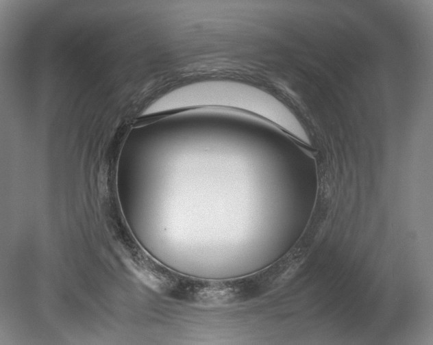 X0000080750213200701051219