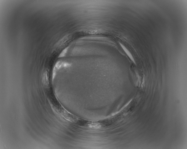 X0000080750214200701051219
