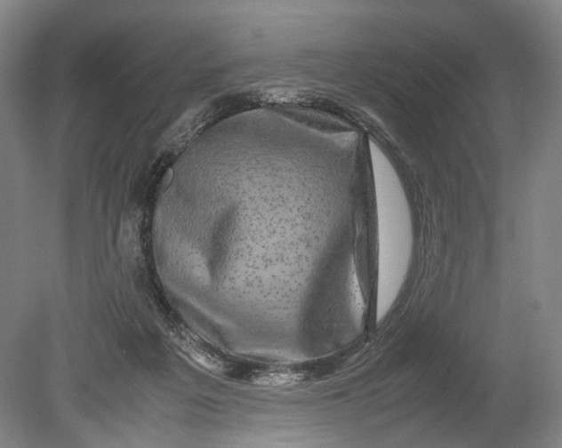 X0000080750217200701051219