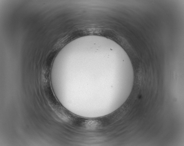 X0000080750218200701051219