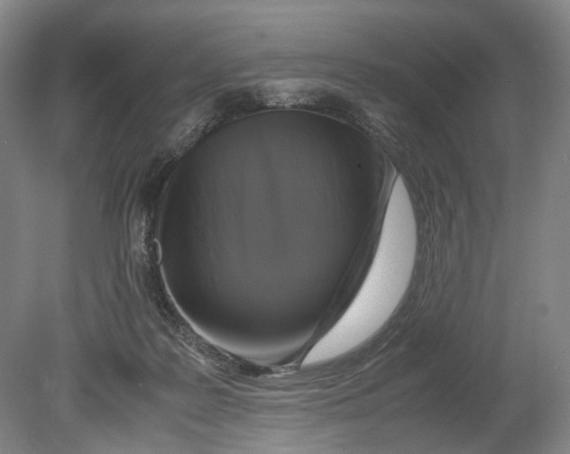 X0000080750219200701051219