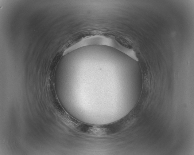 X0000080750221200701051218