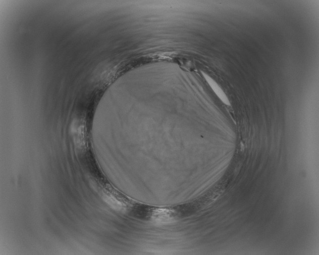 X0000080750222200701051218