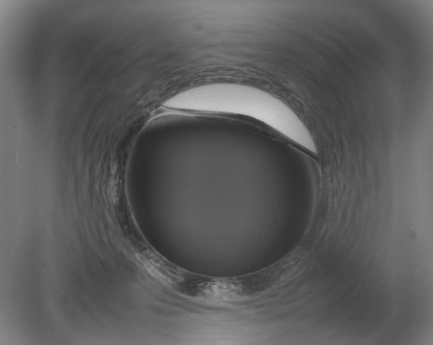 X0000080750223200701051218