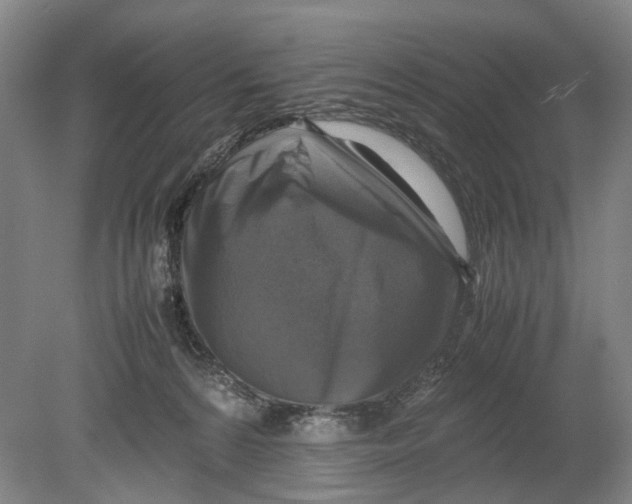 X0000080750224200701051218