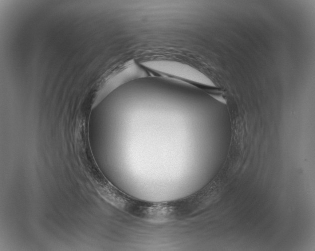 X0000080750225200701051218