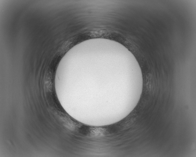 X0000080750226200701051218