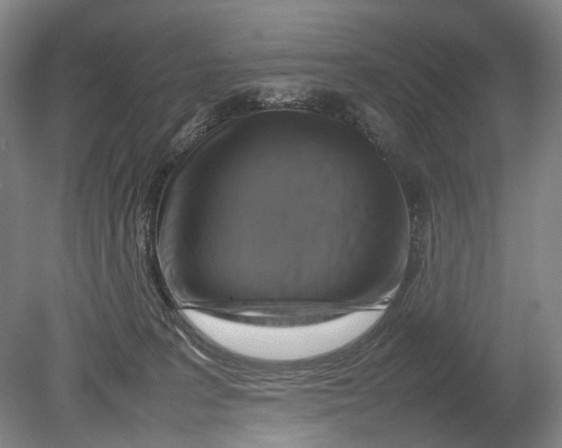 X0000080750227200701051218