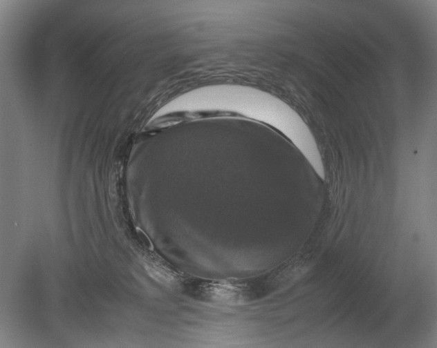 X0000080750229200701051218