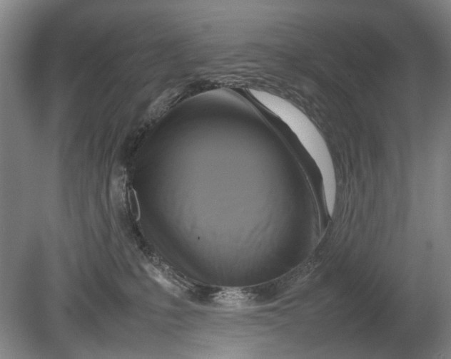 X0000080750231200701051218