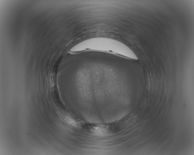 X0000080750232200701051218