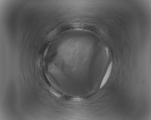 X0000080750233200701051218