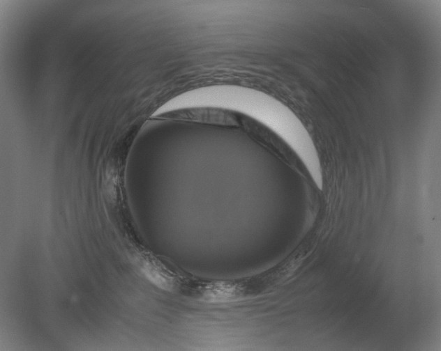 X0000080750235200701051218