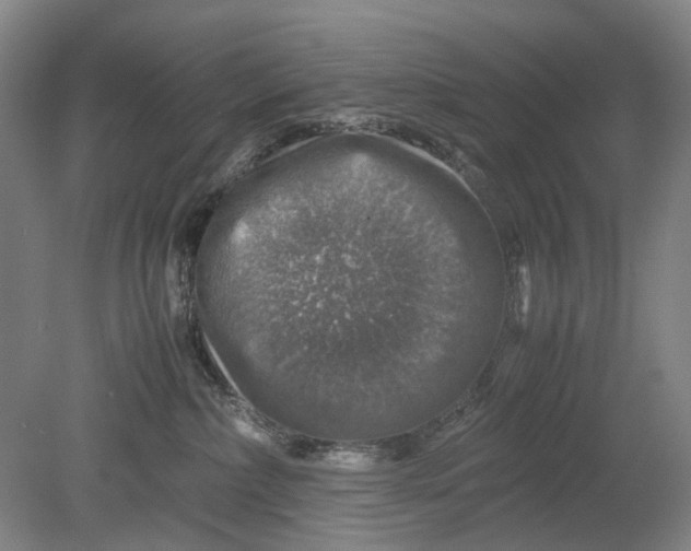 X0000080750236200701051218