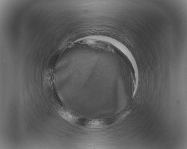 X0000080750237200701051218
