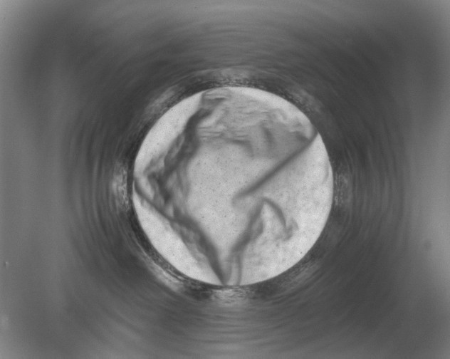 X0000080750238200701051218