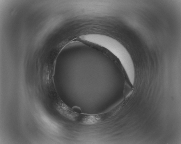 X0000080750239200701051218
