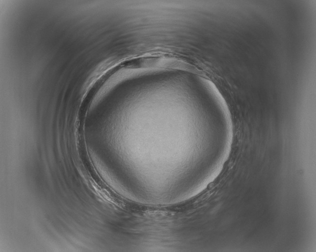 X0000080750242200701051217