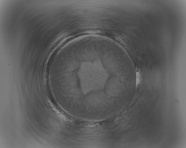 X0000080750243200701051217