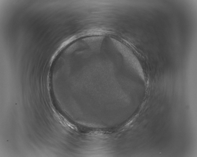X0000080750244200701051217