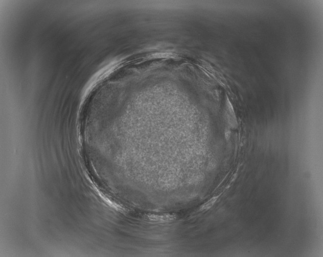 X0000080750245200701051217
