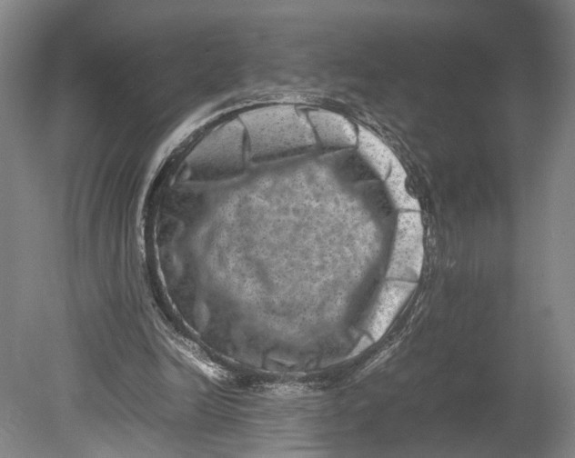 X0000080750246200701051217
