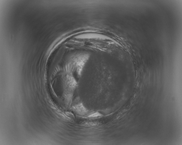 X0000080750247200701051217