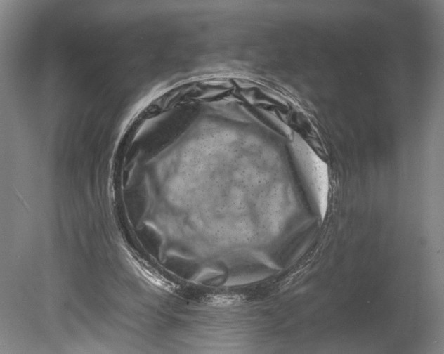 X0000080750248200701051217