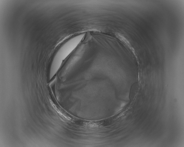 X0000080750249200701051218