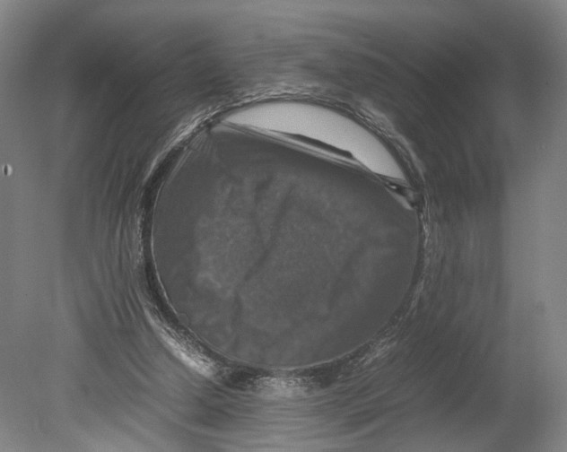 X0000080750250200701051218