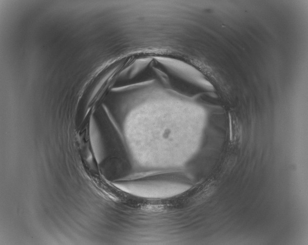 X0000080750252200701051218