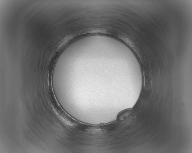 X0000080750253200701051218