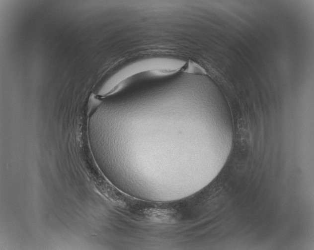 X0000080750255200701051218