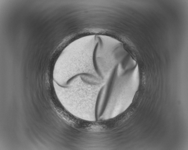 X0000080750256200701051218