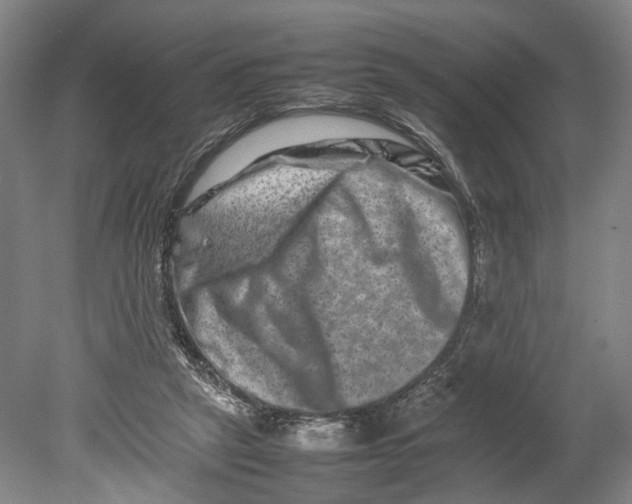 X0000080750257200701051218