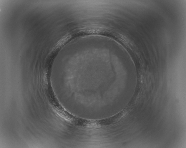 X0000080750258200701051218