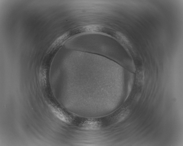 X0000080750260200701051218
