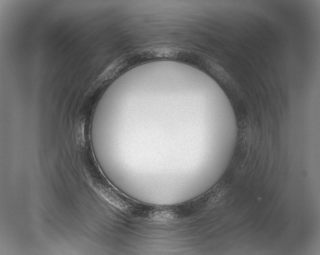 X0000080750262200701051218