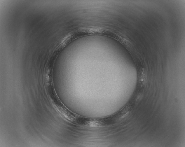X0000080750264200701051218