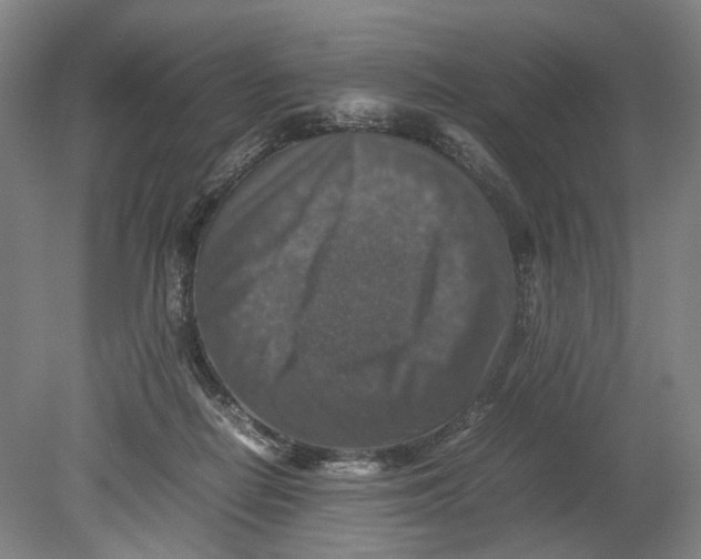 X0000080750266200701051218