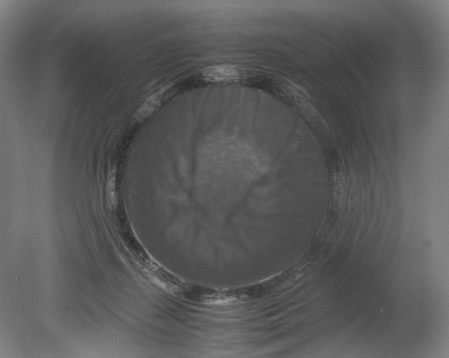 X0000080750267200701051218