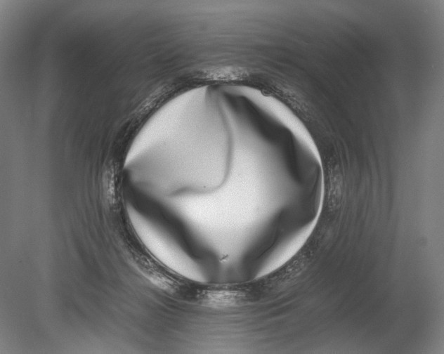 X0000080750268200701051218