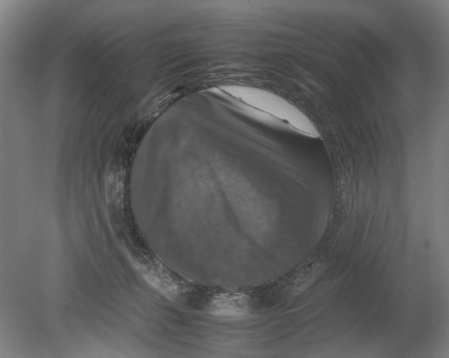 X0000080750271200701051218