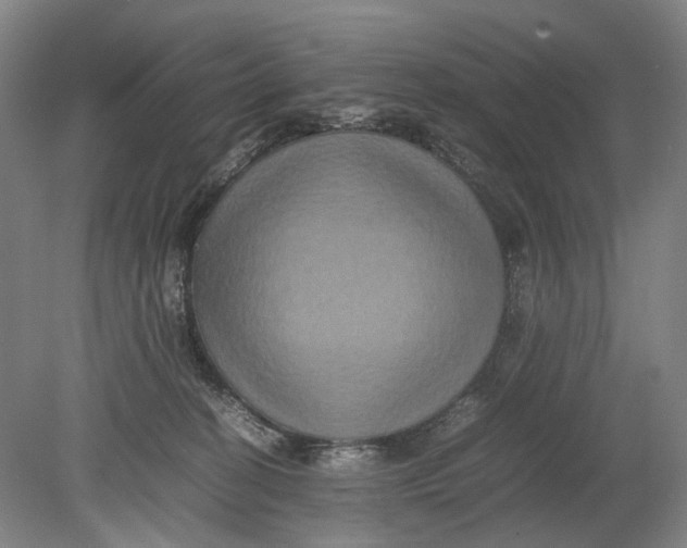 X0000080750274200701051218