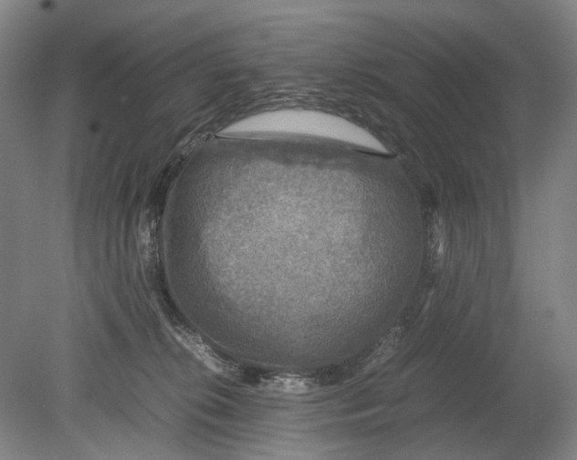 X0000080750276200701051218
