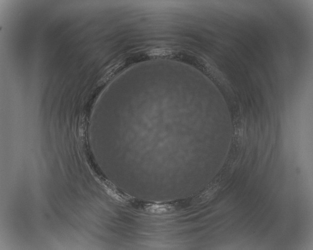 X0000080750277200701051218